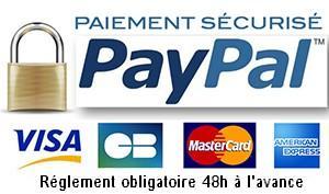 Logo paypal et cb 300px